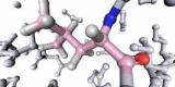 Un régime à base d’acides aminés essentiels permettrait de prévenir la démence Un régime à base d’acides aminés essentiels permettrait de prévenir la démence