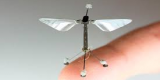 Un robot abeille biomimétique et résistant aux chocs Un robot abeille biomimétique et résistant aux chocs
