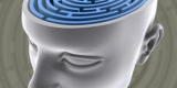 Vers une thérapie génique pour combattre certains symptômes de la schizophrénie Vers une thérapie génique pour combattre certains symptômes de la schizophrénie