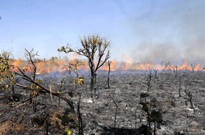 L Impact Sur Le Climat Des Incendies De Foret En Amazonie Est Largement Sous Estime Rtflash Fr Tregouet Org L Impact Sur Le Climat Des Incendies De Foret En Amazonie Est Largement Sous Estime Rtflash Fr Tregouet Org